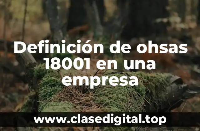 Ejemplos de ohsas 18001