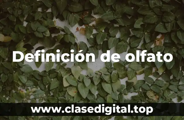 Definición de olfato