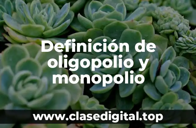 Definición de oligopolio y monopolio