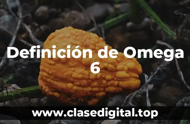 Definición de Omega 6