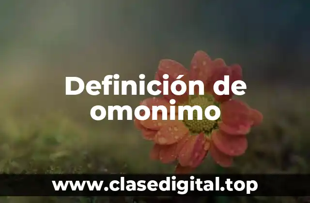 Definición de omonimo