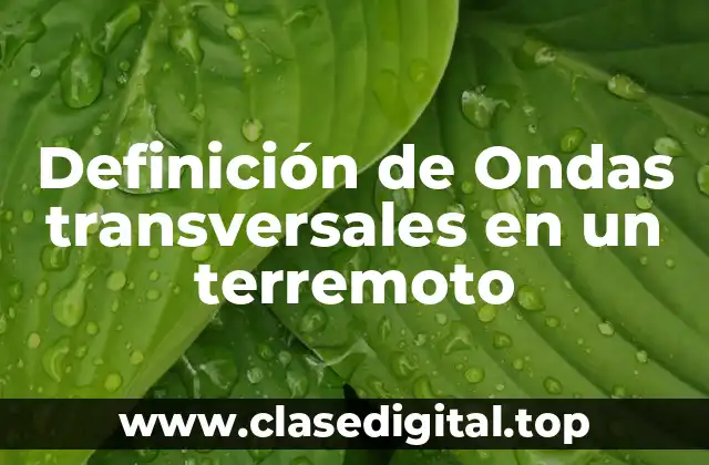 Definición de Ondas transversales en un terremoto