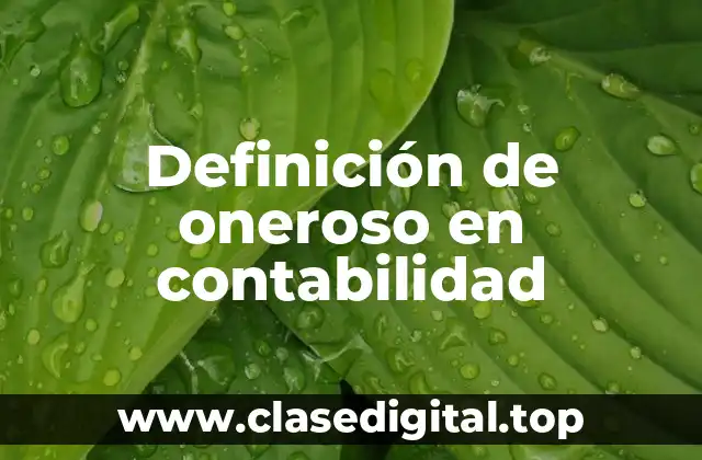 Definición de oneroso en contabilidad