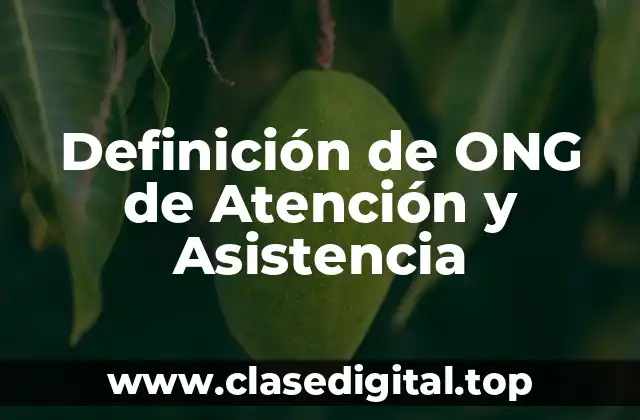 Definición de ONG de Atención y Asistencia
