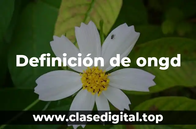 Definición de ongd