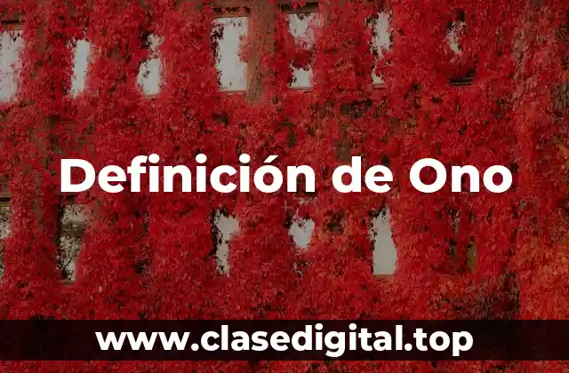Definición de Ono