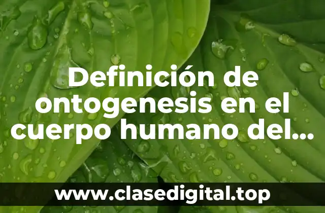 Definición técnica de ontogenesis en el cuerpo humano del raquis