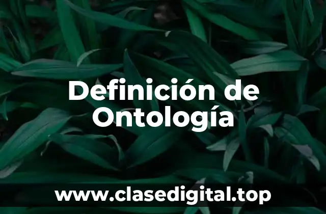 Definición de Ontología