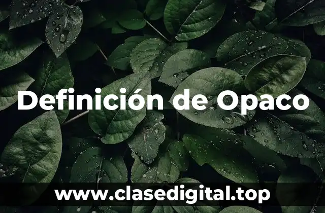 Definición de Opaco
