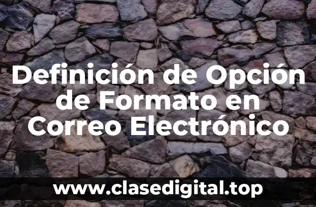 Definición de Opción de Formato en Correo Electrónico
