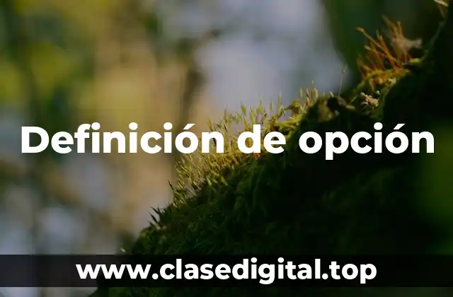 Definición de opción