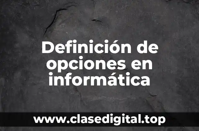 Definición de opciones en informática