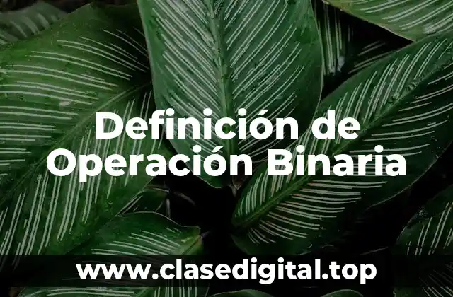Definición de Operación Binaria