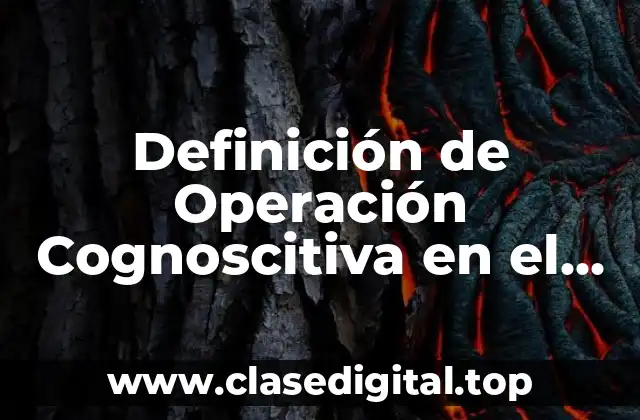 Definición de Operación Cognoscitiva en el Conocimiento