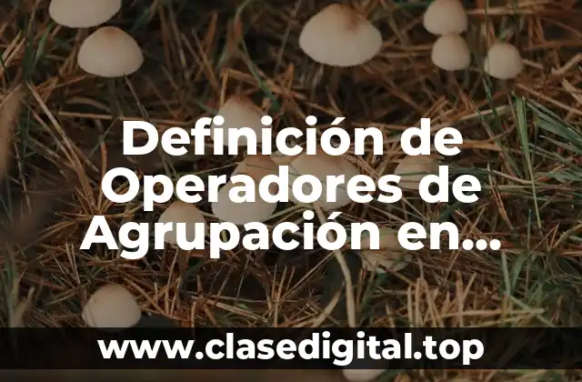Definición de Operadores de Agrupación en Programación