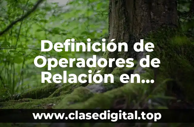 Definición de Operadores de Relación en Informática