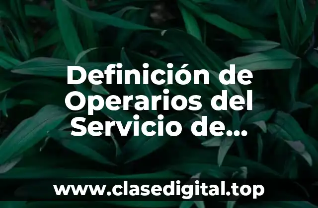 Definición de Operarios del Servicio de Vigilancia