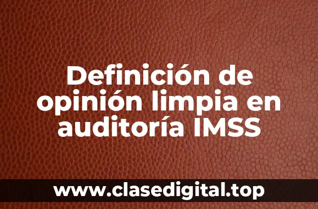 Definición de opinión limpia en auditoría IMSS