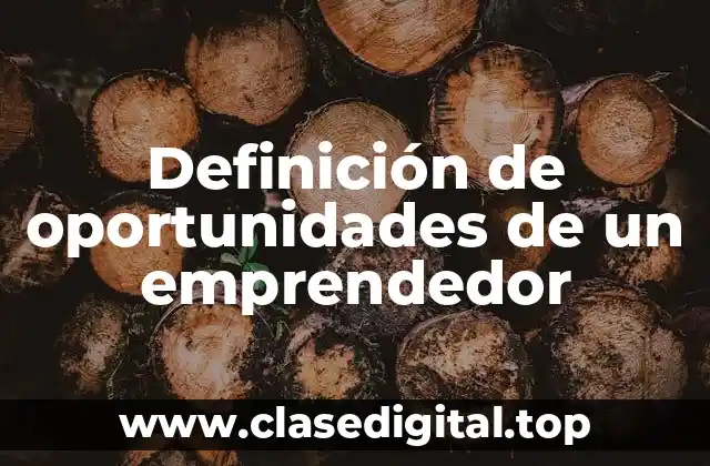 Definición de oportunidades de un emprendedor