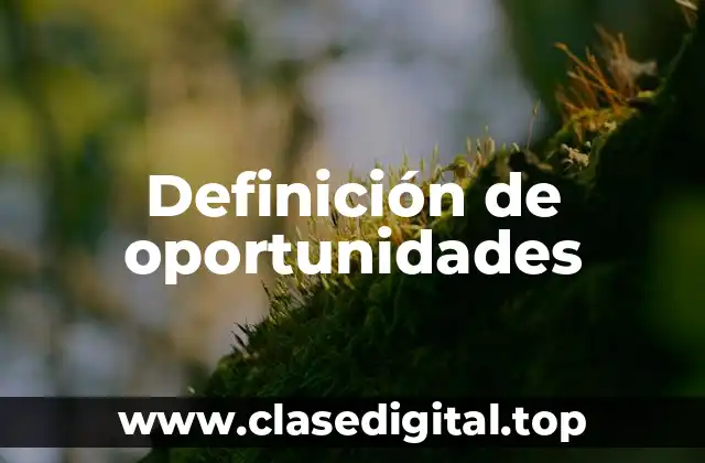Definición de oportunidades