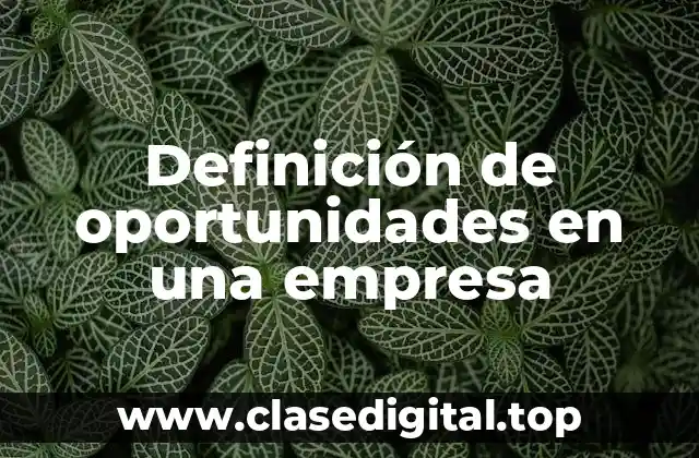 Definición técnica de oportunidad en una empresa