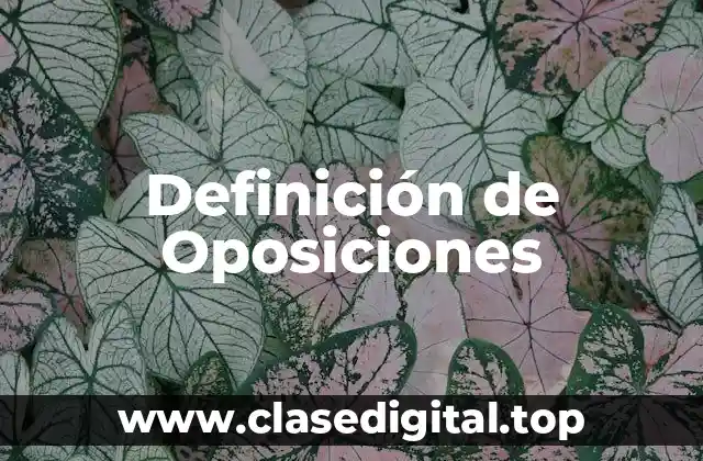 Definición de Oposiciones