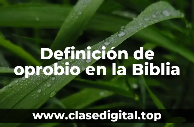 Definición de oprobio en la Biblia