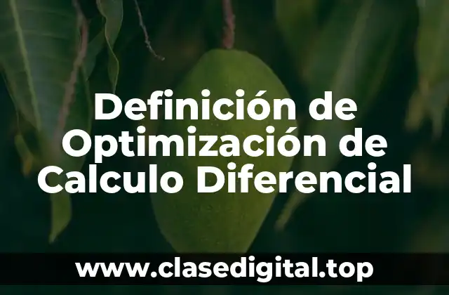 Definición de Optimización de Calculo Diferencial