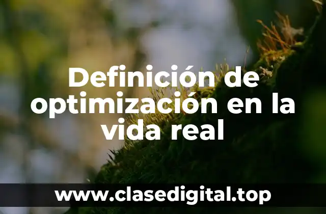 Definición de optimización en la vida real