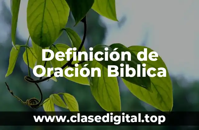 Definición de Oración Biblica