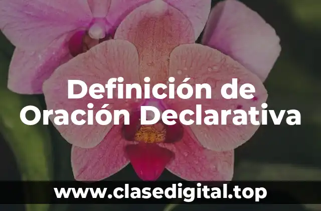 Definición de Oración Declarativa