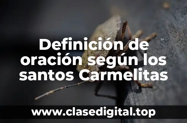 Definición de oración según los santos Carmelitas