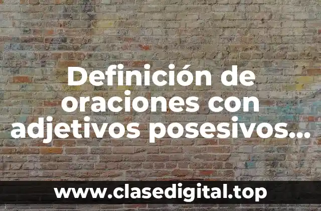 Definición de oraciones con adjetivos posesivos en inglés