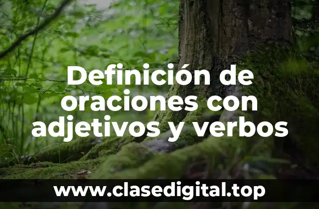 Ejemplos de oraciones con adjetivos y verbos