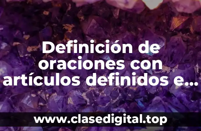 Definición de oraciones con artículos definidos e indefinidos en francés