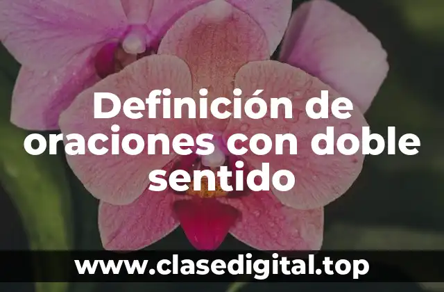 Definición de oraciones con doble sentido