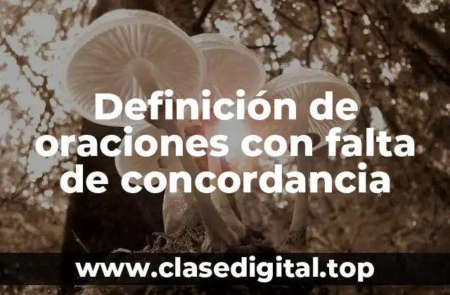 Definición de oraciones con falta de concordancia