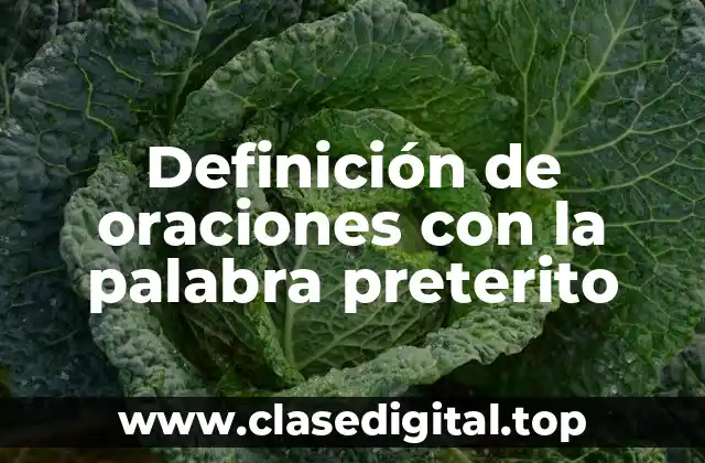 Ejemplos de oraciones con la palabra preterito