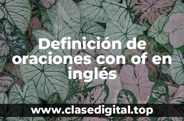 Ejemplos de oraciones con of en inglés