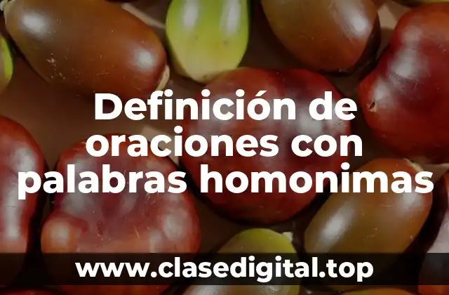 Ejemplos de oraciones con palabras homomimas