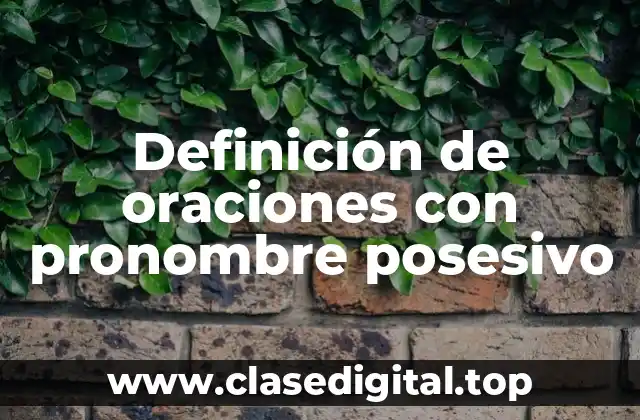 Definición de oraciones con pronombre posesivo