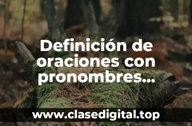 Definición de oraciones con pronombres relativos