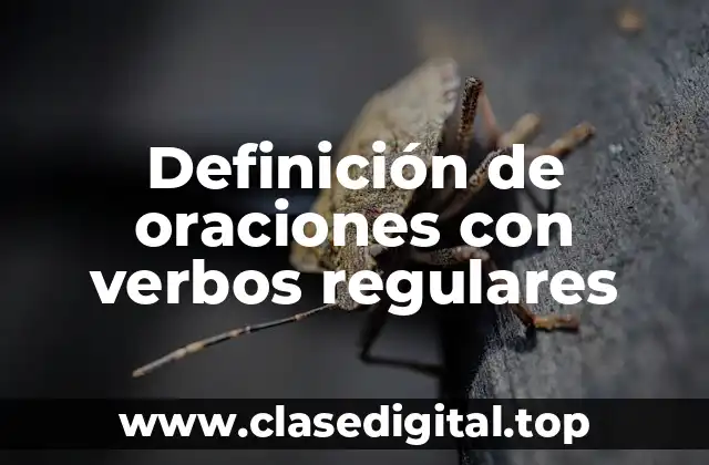 Definición de oraciones con verbos regulares