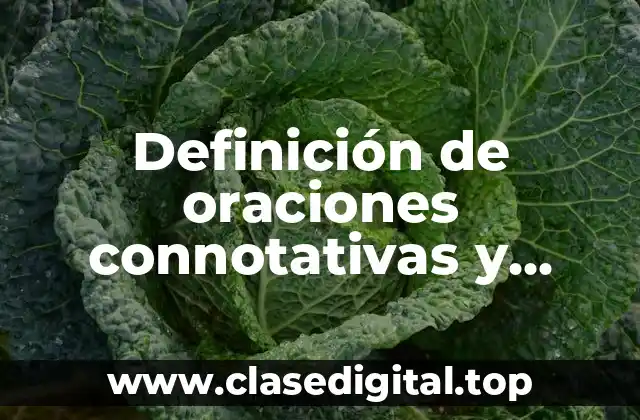 Ejemplos de oraciones connotativas