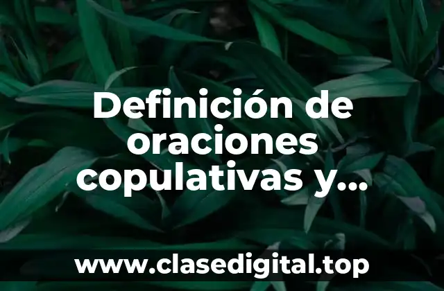 Definición de oraciones copulativas y predicativas