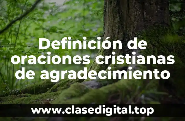 Ejemplos de oraciones cristianas de agradecimiento