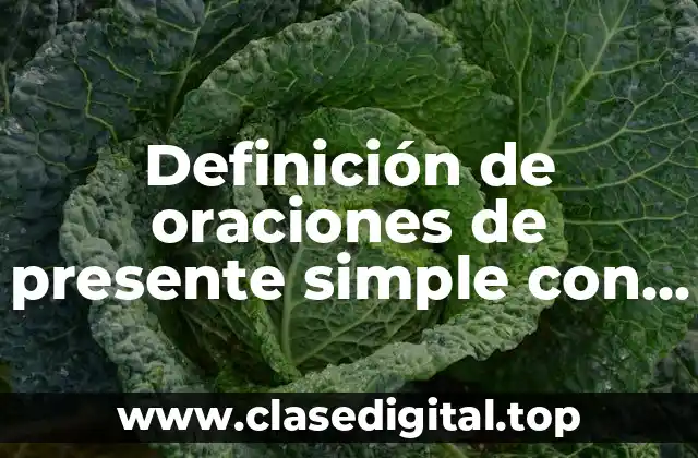 Definición de oraciones de presente simple con regla de es