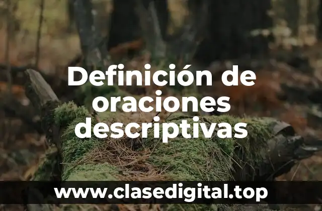Definición de oraciones descriptivas