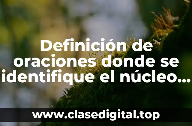 Ejemplos de oraciones donde se identifique el núcleo del sujeto