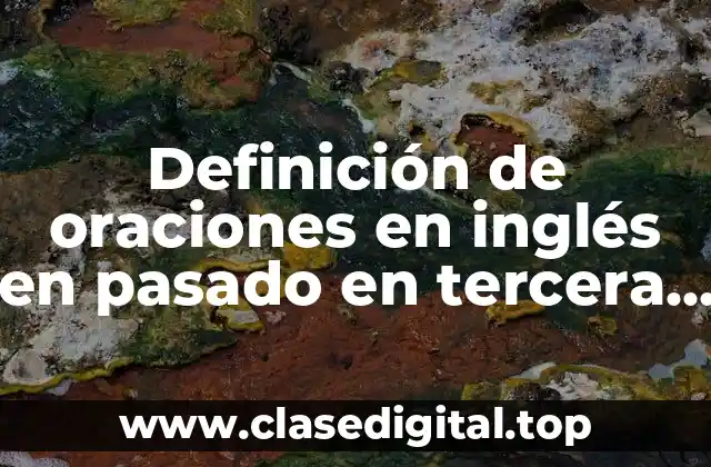 Ejemplos de oraciones en inglés en pasado en tercera persona